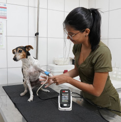 Estrutura da clínica Mundo Animal